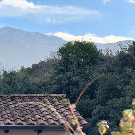 Apartamento Penaquinera En Llanes Εξωτερικό φωτογραφία